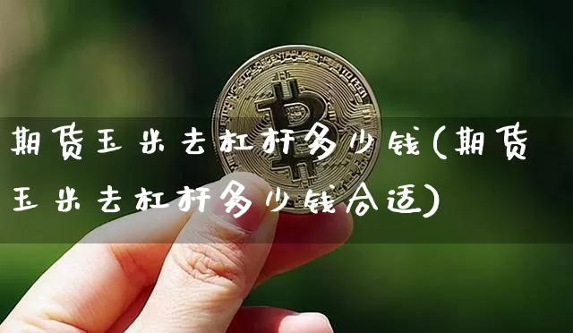 期货玉米去杠杆多少钱(期货玉米去杠杆多少钱合适)_https://www.dbjyqcj.com_中金所_第1张