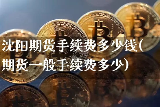 沈阳期货手续费多少钱(期货一般手续费多少)_https://www.dbjyqcj.com_大商所_第1张