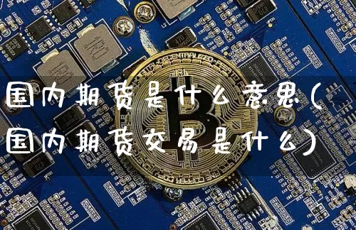 国内期货是什么意思(国内期货交易是什么)_https://www.dbjyqcj.com_大商所_第1张