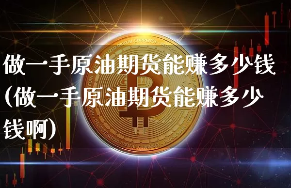 做一手原油期货能赚多少钱(做一手原油期货能赚多少钱啊)_https://www.dbjyqcj.com_上期能源_第1张
