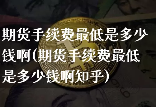 期货手续费最低是多少钱啊(期货手续费最低是多少钱啊知乎)_https://www.dbjyqcj.com_大商所_第1张