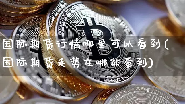 国际期货行情哪里可以看到(国际期货走势在哪能查到)_https://www.dbjyqcj.com_上期所_第1张