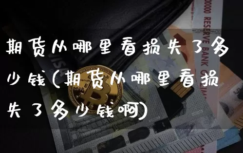 期货从哪里看损失了多少钱(期货从哪里看损失了多少钱啊)_https://www.dbjyqcj.com_上期能源_第1张