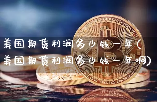 美国期货利润多少钱一年(美国期货利润多少钱一年啊)_https://www.dbjyqcj.com_上期所_第1张