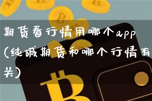 期货看行情用哪个app(纯碱期货和哪个行情有关)_https://www.dbjyqcj.com_广期所_第1张