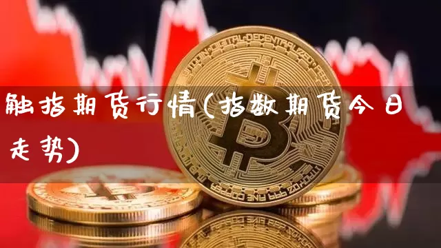 触指期货行情(指数期货今日走势)_https://www.dbjyqcj.com_上期能源_第1张