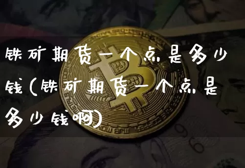 铁矿期货一个点是多少钱(铁矿期货一个点是多少钱啊)_https://www.dbjyqcj.com_广期所_第1张