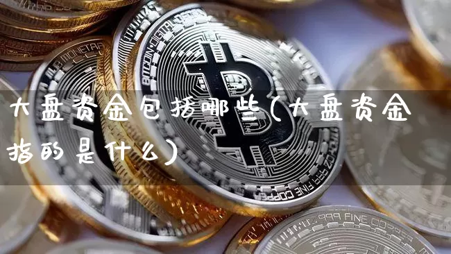大盘资金包括哪些(大盘资金指的是什么)_https://www.dbjyqcj.com_上期所_第1张