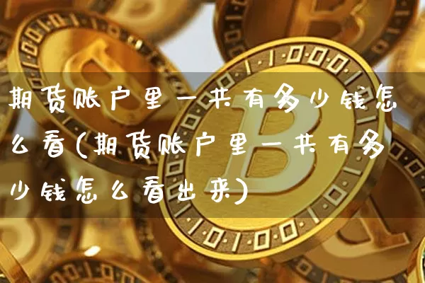 期货账户里一共有多少钱怎么看(期货账户里一共有多少钱怎么看出来)_https://www.dbjyqcj.com_大商所_第1张