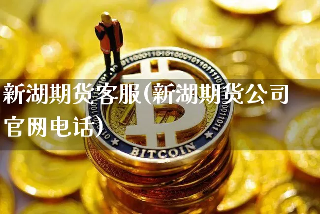 新湖期货客服(新湖期货公司官网电话)_https://www.dbjyqcj.com_中金所_第1张