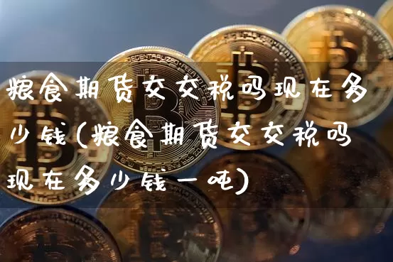 粮食期货交交税吗现在多少钱(粮食期货交交税吗现在多少钱一吨)_https://www.dbjyqcj.com_上期能源_第1张