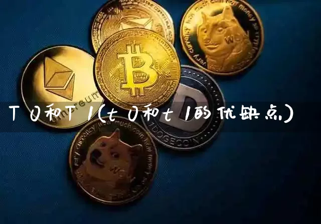 T 0和T 1(t 0和t 1的优缺点)_https://www.dbjyqcj.com_郑商所_第1张