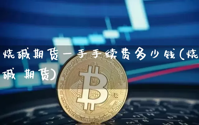 烧碱期货一手手续费多少钱(烧碱 期货)_郑商所_第1张_财经网 烧碱期货一手手续费多少钱(烧碱 期货)_https://www.dbjyqcj.com_郑商所_第1张