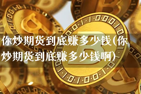 你炒期货到底赚多少钱(你炒期货到底赚多少钱啊)_https://www.dbjyqcj.com_大商所_第1张