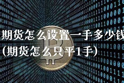 期货怎么设置一手多少钱(期货怎么只平1手)_https://www.dbjyqcj.com_大商所_第1张