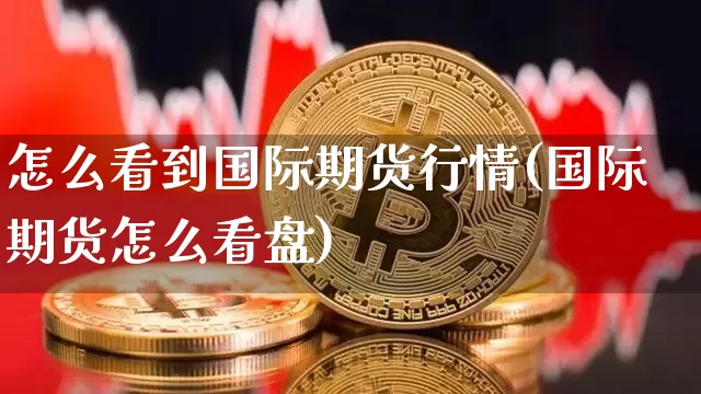怎么看到国际期货行情(国际期货怎么看盘)_https://www.dbjyqcj.com_大商所_第1张