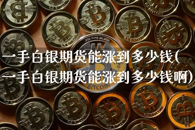 一手白银期货能涨到多少钱(一手白银期货能涨到多少钱啊)_广期所_第1张_财经网 一手白银期货能涨到多少钱(一手白银期货能涨到多少钱啊)_https://www.dbjyqcj.com_广期所_第1张