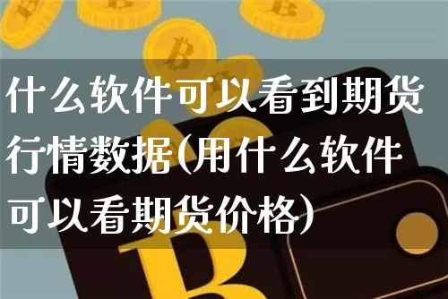 什么软件可以看到期货行情数据(用什么软件可以看期货价格)_https://www.dbjyqcj.com_大商所_第1张