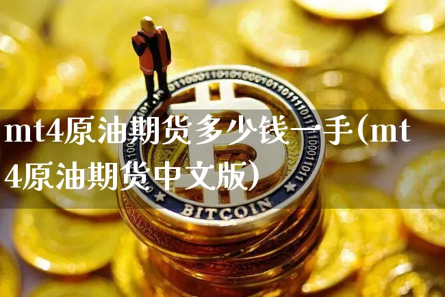 mt4原油期货多少钱一手(mt4原油期货中文版)_https://www.dbjyqcj.com_上期所_第1张