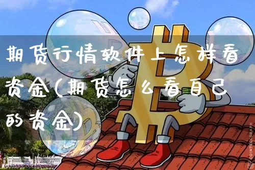 期货行情软件上怎样看资金(期货怎么看自己的资金)_https://www.dbjyqcj.com_郑商所_第1张