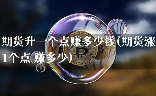 期货升一个点赚多少钱(期货涨1个点 赚多少)_https://www.dbjyqcj.com_大商所_第1张