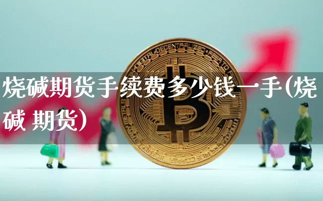 烧碱期货手续费多少钱一手(烧碱 期货)_https://www.dbjyqcj.com_郑商所_第1张