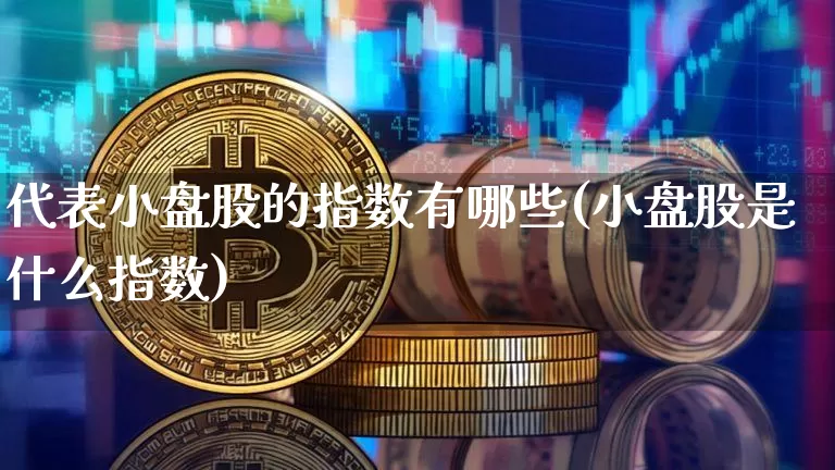 代表小盘股的指数有哪些(小盘股是什么指数)_https://www.dbjyqcj.com_中金所_第1张