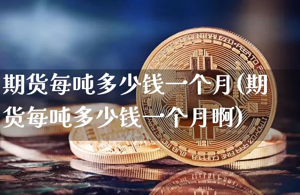 期货每吨多少钱一个月(期货每吨多少钱一个月啊)_https://www.dbjyqcj.com_中金所_第1张