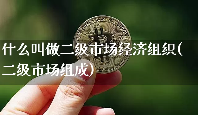 什么叫做二级市场经济组织(二级市场组成)_郑商所_第1张_财经网 什么叫做二级市场经济组织(二级市场组成)_https://www.dbjyqcj.com_郑商所_第1张