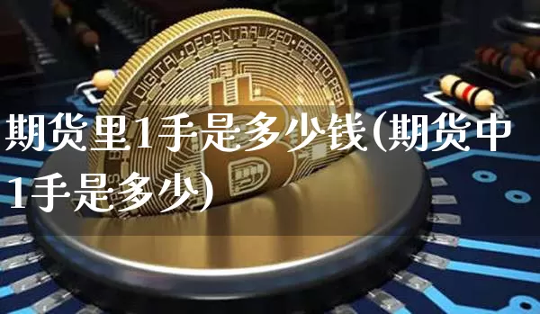 期货里1手是多少钱(期货中1手是多少)_https://www.dbjyqcj.com_郑商所_第1张