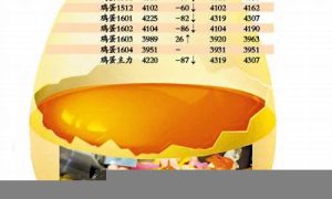 2024060214032845_https://www.dbjyqcj.com__第1张
